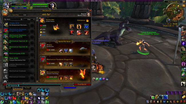 WoWScrnShot_112314_171141